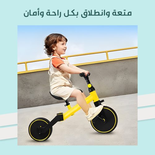 Tricycle Kids mo 3